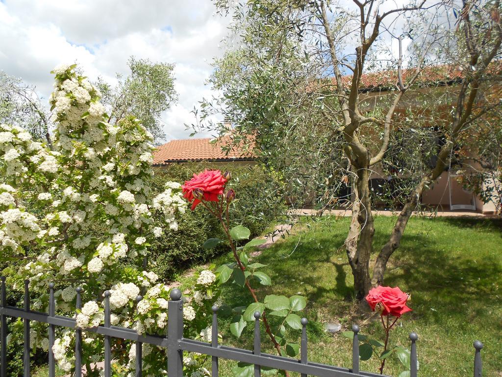 בית הארחה סטורניה 	Poggio Degli Olivi מראה חיצוני תמונה