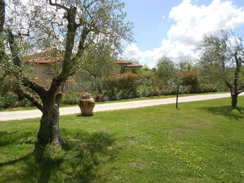 בית הארחה סטורניה 	Poggio Degli Olivi מראה חיצוני תמונה